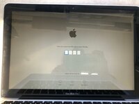 6bb8320a-a241-4937-a52c-5d5c6987d3d5.jpg