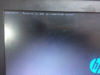 337412c3-4b6e-4e24-955c-9c19262c0e9e.jpg